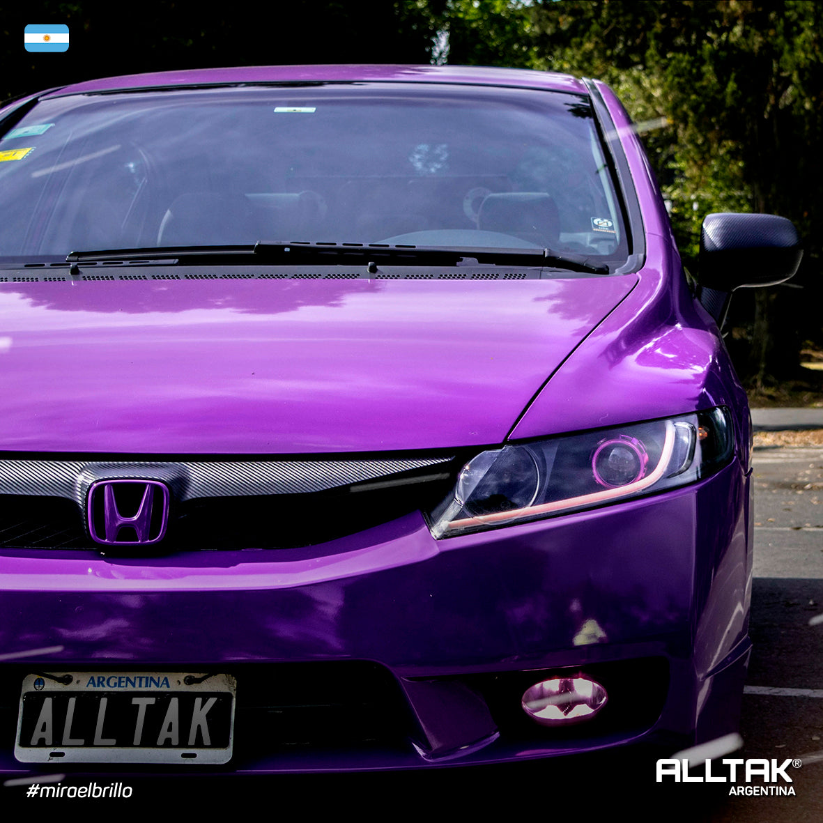 Vinilo Ultra Acai Berry  #18U40