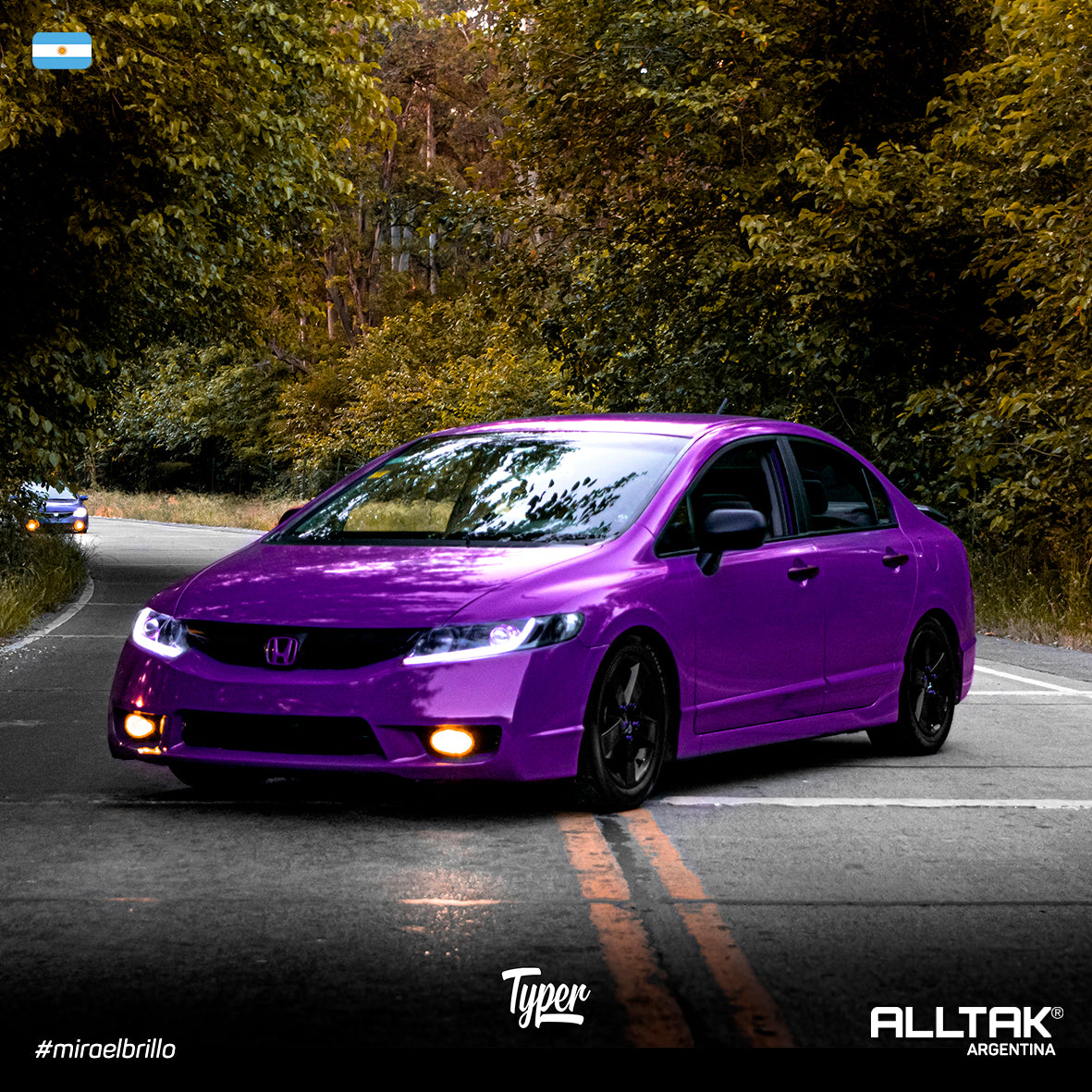 Vinilo Ultra Acai Berry  #18U40