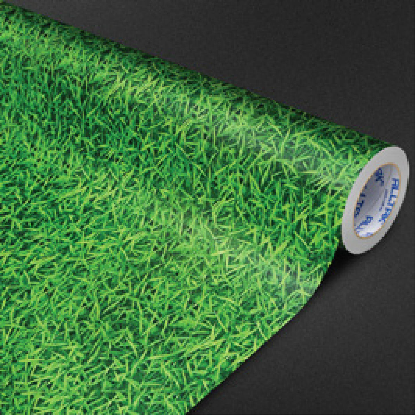 Vinilo Pisotak Green Day #977TP01