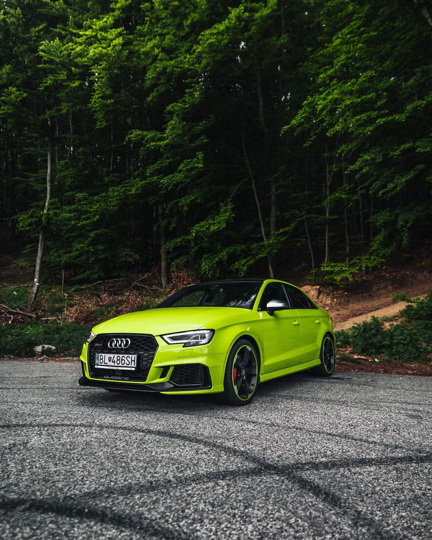 Protector de llanta EXCLUSIVE | Green 12" 24"